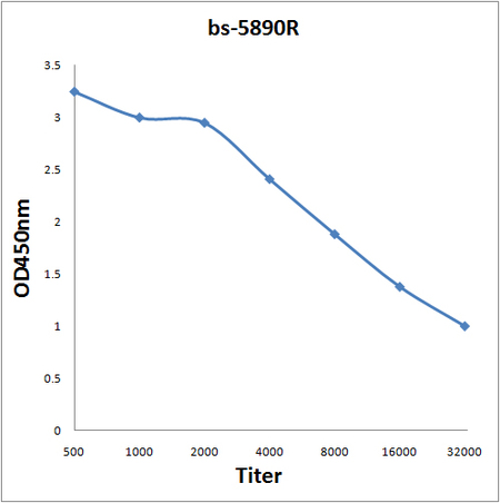 Antigen: bs-5890P, 0.2ug/100ul \nPrimary: Antiserum, 1:500, 1:1000, 1:2000, 1:4000, 1:8000, 1:16000, 1:32000; \nSecondary: HRP conjugated Goat-Anti-Rabbit IgG(bs-0295G-HRP) at 1: 5000;\nTMB staining;\nRead the data in MicroplateReader by 450