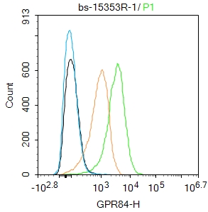 U937 cells were incubated in 5% BSA blocking buffer for 30 min at room temperature. Cells were then stained with GPR84 Polyclonal Antibody(bs-15353R)at 1:100 dilution in blocking buffer and incubated for 30 min at room temperature, washed twice with 2%BSA in PBS, followed by secondary antibody incubation for 40 min at room temperature. Acquisitions of 20,000 events were performed. Cells stained with primary antibody (green), and isotype control (orange).