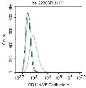 HUVEC cells were incubated in 5% BSA blocking buffer for 30 min at room temperature. Cells were then stained with CD144/VE Cadherin Polyclonal Antibody(bs-22363R)at 1:100 dilution in blocking buffer and incubated for 30 min at room temperature, washed twice with 2%BSA in PBS, followed by secondary antibody incubation for 40 min at room temperature. Acquisitions of 20,000 events were performed. Cells stained with primary antibody (green), and isotype control (orange).