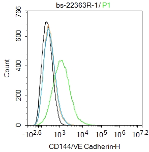 HUVEC cells were incubated in 5% BSA blocking buffer for 30 min at room temperature. Cells were then stained with CD144/VE Cadherin Polyclonal Antibody(bs-22363R)at 1:100 dilution in blocking buffer and incubated for 30 min at room temperature, washed twice with 2%BSA in PBS, followed by secondary antibody incubation for 40 min at room temperature. Acquisitions of 20,000 events were performed. Cells stained with primary antibody (green), and isotype control (orange). HUVEC cells were incubated in 5% BSA blocking buffer for 30 min at room temperature. Cells were then stained with CD144/VE Cadherin Polyclonal Antibody(bs-22363R)at 1:100 dilution in blocking buffer and incubated for 30 min at room temperature, washed twice with 2%BSA in PBS, followed by secondary antibody incubation for 40 min at room temperature. Acquisitions of 20,000 events were performed. Cells stained with primary antibody (green), and isotype control (orange).