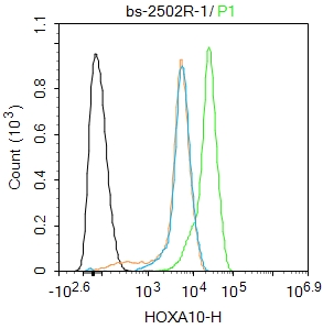 A431 cells were fixed with 4% PFA for 10min at room temperature,permeabilized with 90% ice-cold methanol for 20 min at -20℃, and incubated in 5% BSA blocking buffer for 30 min at room temperature. Cells were then stained with HOXA10 Polyclonal Antibody(bs-2502R)at 1:100 dilution in blocking buffer and incubated for 30 min at room temperature, washed twice with 2%BSA in PBS, followed by secondary antibody incubation for 40 min at room temperature. Acquisitions of 20,000 events were performed. Cells stained with primary antibody (green), and isotype control (orange).