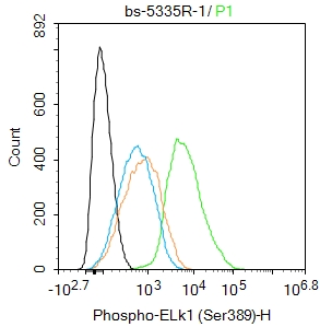 U-87MG cells were fixed with 4% PFA for 10min at room temperature,permeabilized with 90% ice-cold methanol for 20 min at -20℃, and incubated in 5% BSA blocking buffer for 30 min at room temperature. Cells were then stained with Phospho-ELk1 (Ser389) Polyclonal Antibody(bs-5335R)at 1:100 dilution in blocking buffer and incubated for 30 min at room temperature, washed twice with 2%BSA in PBS, followed by secondary antibody incubation for 40 min at room temperature. Acquisitions of 20,000 events were performed. Cells stained with primary antibody (green), and isotype control (orange).