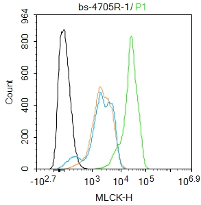 HepG2 cells were fixed with 4% PFA for 10min at room temperature,permeabilized with 90% ice-cold methanol for 20 min at -20℃, and incubated in 5% BSA blocking buffer for 30 min at room temperature. Cells were then stained with MLCK Polyclonal Antibody(bs-4705R)at 1:100 dilution in blocking buffer and incubated for 30 min at room temperature, washed twice with 2%BSA in PBS, followed by secondary antibody incubation for 40 min at room temperature. Acquisitions of 20,000 events were performed. Cells stained with primary antibody (green), and isotype control (orange).