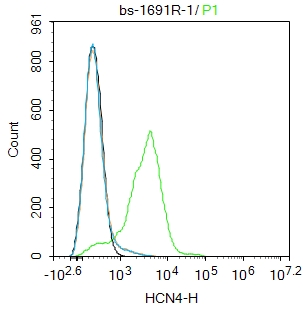 MCF-7 cells were incubated in 5% BSA blocking buffer for 30 min at room temperature. Cells were then stained with HCN4 Polyclonal Antibody(bs-1691R)at 1:100 dilution in blocking buffer and incubated for 30 min at room temperature, washed twice with 2%BSA in PBS, followed by secondary antibody incubation for 40 min at room temperature. Acquisitions of 20,000 events were performed. Cells stained with primary antibody (green), and isotype control (orange).
