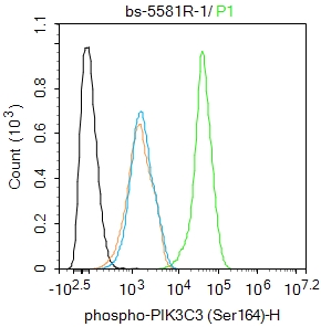 HepG2 cells were fixed with 4% PFA for 10min at room temperature,permeabilized with 90% ice-cold methanol for 20 min at -20℃, and incubated in 5% BSA blocking buffer for 30 min at room temperature. Cells were then stained with phospho-PIK3C3 (Ser164) Polyclonal _x000D_  Antibody(bs-5581R)at 1:100 dilution in blocking buffer and incubated for 30 min at room temperature, washed twice with 2%BSA in PBS, followed by secondary antibody incubation for 40 min at room temperature. Acquisitions of 20,000 events were performed. Cells stained with primary antibody (green), and isotype control (orange).