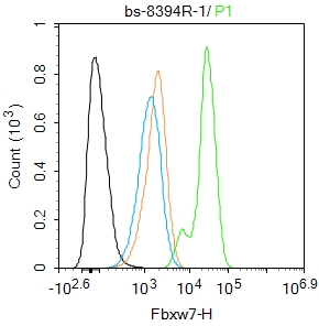 MCF-7 cells were fixed with 4% PFA for 10min at room temperature,permeabilized with 90% ice-cold methanol for 20 min at -20℃, and incubated in 5% BSA blocking buffer for 30 min at room temperature. Cells were then stained with Fbxw7 Polyclonal Antibody(bs-8394R)at 1:100 dilution in blocking buffer and incubated for 30 min at room temperature, washed twice with 2%BSA in PBS, followed by secondary antibody incubation for 40 min at room temperature. Acquisitions of 20,000 events were performed. Cells stained with primary antibody (green), and isotype control (orange). MCF-7 cells were fixed with 4% PFA for 10min at room temperature,permeabilized with 90% ice-cold methanol for 20 min at -20℃, and incubated in 5% BSA blocking buffer for 30 min at room temperature. Cells were then stained with Fbxw7 Polyclonal Antibody(bs-8394R)at 1:100 dilution in blocking buffer and incubated for 30 min at room temperature, washed twice with 2%BSA in PBS, followed by secondary antibody incubation for 40 min at room temperature. Acquisitions of 20,000 events were performed. Cells stained with primary antibody (green), and isotype control (orange).