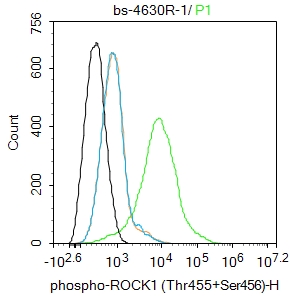 MCF-7 cells were\u00a0incubated in 5% BSA blocking buffer\u00a0for 30 min at room temperature. Cells were then stained with phospho-ROCK1 (Thr455+Ser456) Polyclonal Antibody(bs-4630R)at 1:100 dilution\u00a0in blocking buffer and\u00a0incubated for 30 min at\u00a0room temperature,\u00a0washed twice with 2%BSA in PBS,\u00a0followed by\u00a0secondary antibody incubation\u00a0for 40 min\u00a0at\u00a0room temperature. Acquisitions of 20,000 events were performed.\u00a0Cells stained with primary antibody\u00a0(green), and isotype control (orange).