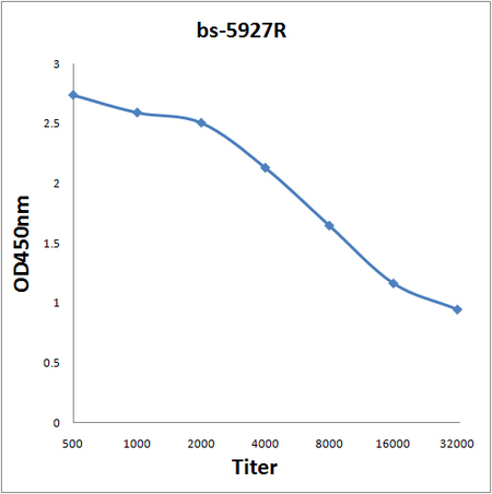 Antigen: bs-5927P, 0.2ug/100ul \nPrimary: Antiserum, 1:500, 1:1000, 1:2000, 1:4000, 1:8000, 1:16000, 1:32000; \nSecondary: HRP conjugated Goat-Anti-Rabbit IgG(bs-0295G-HRP) at 1: 5000;\nTMB staining;\nRead the data in MicroplateReader by 450