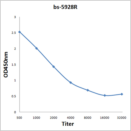 Antigen: bs-5928P, 0.2ug/100ul \nPrimary: Antiserum, 1:500, 1:1000, 1:2000, 1:4000, 1:8000, 1:16000, 1:32000; \nSecondary: HRP conjugated Goat-Anti-Rabbit IgG(bs-0295G-HRP) at 1: 5000;\nTMB staining;\nRead the data in MicroplateReader by 450