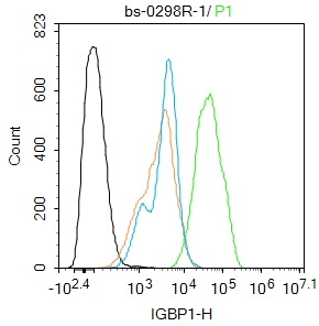 HepG2 cells were\u00a0fixed with 4% PFA for 10min at room temperature,permeabilized with\u00a090% ice-cold methanol for 20 min at -20\u2103,\u00a0and incubated in 5% BSA blocking buffer\u00a0for 30 min at room temperature. Cells were then stained with IGBP1 Polyclonal Antibody(bs-0298R)at 1:100 dilution\u00a0in blocking buffer and\u00a0incubated for 30 min at\u00a0room temperature,\u00a0washed twice with 2%BSA in PBS,\u00a0followed by\u00a0secondary antibody incubation\u00a0for 40 min\u00a0at\u00a0room temperature. Acquisitions of 20,000 events were performed.\u00a0Cells stained with primary antibody\u00a0(green), and isotype control (orange).
