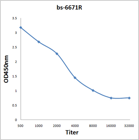 Antigen: bs-6671P, 0.2ug/100ul \nPrimary: Antiserum, 1:500, 1:1000, 1:2000, 1:4000, 1:8000, 1:16000, 1:32000; \nSecondary: HRP conjugated Goat-Anti-Rabbit IgG(bs-0295G-HRP) at 1: 5000;\nTMB staining;\nRead the data in MicroplateReader by 450