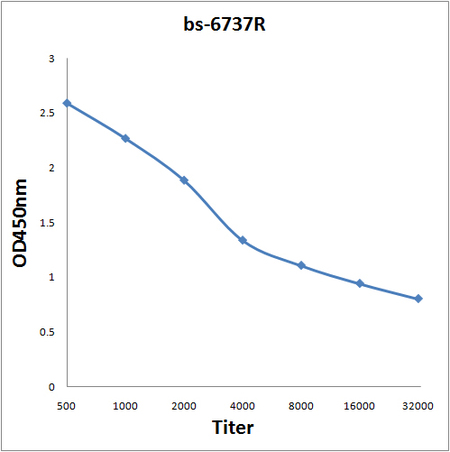 Antigen: bs-6737P, 0.2ug/100ul \nPrimary: Antiserum, 1:500, 1:1000, 1:2000, 1:4000, 1:8000, 1:16000, 1:32000; \nSecondary: HRP conjugated Goat-Anti-Rabbit IgG(bs-0295G-HRP) at 1: 5000;\nTMB staining;\nRead the data in MicroplateReader by 450