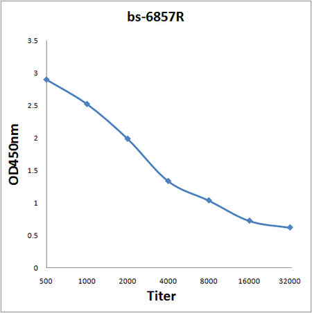 Antigen: bs-6857P, 0.2ug/100ul \nPrimary: Antiserum, 1:500, 1:1000, 1:2000, 1:4000, 1:8000, 1:16000, 1:32000; \nSecondary: HRP conjugated Goat-Anti-Rabbit IgG(bs-0295G-HRP) at 1: 5000;\nTMB staining;\nRead the data in MicroplateReader by 450
