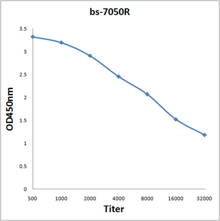 Antigen: bs-7050P, 0.2ug/100ul \nPrimary: Antiserum, 1:500, 1:1000, 1:2000, 1:4000, 1:8000, 1:16000, 1:32000; \nSecondary: HRP conjugated Goat-Anti-Rabbit IgG(bs-0295G-HRP) at 1: 5000;\nTMB staining;\nRead the data in MicroplateReader by 450