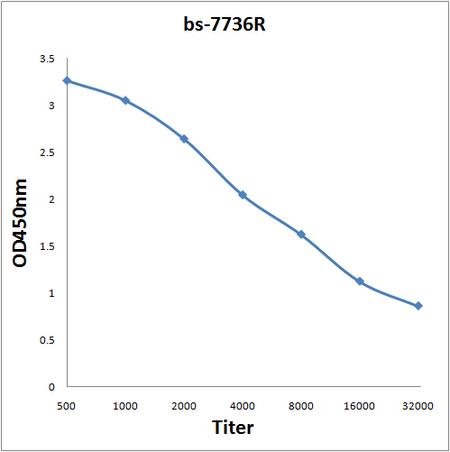 Antigen: bs-7736P, 0.2ug/100ul \nPrimary: Antiserum, 1:500, 1:1000, 1:2000, 1:4000, 1:8000, 1:16000, 1:32000; \nSecondary: HRP conjugated Goat-Anti-Rabbit IgG(bs-0295G-HRP) at 1: 5000;\nTMB staining;\nRead the data in MicroplateReader by 450