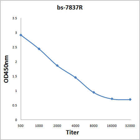 Antigen: bs-7837P, 0.2ug/100ul \nPrimary: Antiserum, 1:500, 1:1000, 1:2000, 1:4000, 1:8000, 1:16000, 1:32000; \nSecondary: HRP conjugated Goat-Anti-Rabbit IgG(bs-0295G-HRP) at 1: 5000;\nTMB staining;\nRead the data in MicroplateReader by 450