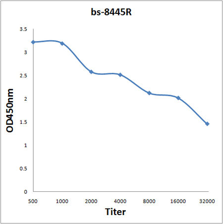 Antigen: bs-8445P, 0.2ug/100ul \nPrimary: Antiserum, 1:500, 1:1000, 1:2000, 1:4000, 1:8000, 1:16000, 1:32000; \nSecondary: HRP conjugated Goat-Anti-Rabbit IgG(bs-0295G-HRP) at 1: 5000;\nTMB staining;\nRead the data in MicroplateReader by 450 Antigen: bs-8445P, 0.2ug/100ul \nPrimary: Antiserum, 1:500, 1:1000, 1:2000, 1:4000, 1:8000, 1:16000, 1:32000; \nSecondary: HRP conjugated Goat-Anti-Rabbit IgG(bs-0295G-HRP) at 1: 5000;\nTMB staining;\nRead the data in MicroplateReader by 450