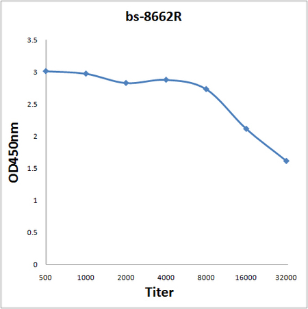 Antigen: bs-8662P, 0.2ug/100ul \nPrimary: Antiserum, 1:500, 1:1000, 1:2000, 1:4000, 1:8000, 1:16000, 1:32000; \nSecondary: HRP conjugated Goat-Anti-Rabbit IgG(bs-0295G-HRP) at 1: 5000;\nTMB staining;\nRead the data in MicroplateReader by 450