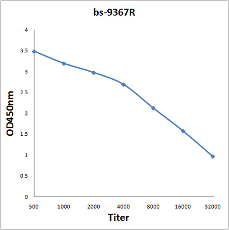 Antigen: bs-9367P, 0.2ug/100ul \nPrimary: Antiserum, 1:500, 1:1000, 1:2000, 1:4000, 1:8000, 1:16000, 1:32000; \nSecondary: HRP conjugated Goat-Anti-Rabbit IgG(bs-0295G-HRP) at 1: 5000;\nTMB staining;\nRead the data in MicroplateReader by 450