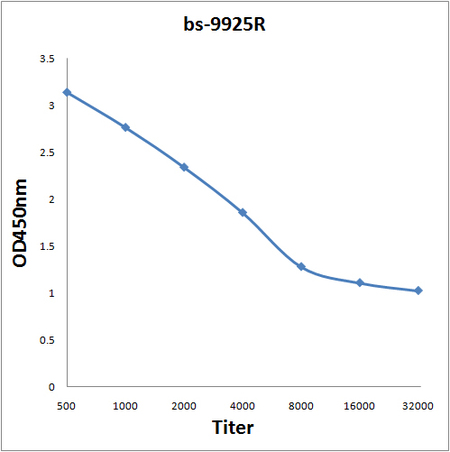Antigen: bs-9925P, 0.2ug/100ul \nPrimary: Antiserum, 1:500, 1:1000, 1:2000, 1:4000, 1:8000, 1:16000, 1:32000; \nSecondary: HRP conjugated Goat-Anti-Rabbit IgG(bs-0295G-HRP) at 1: 5000;\nTMB staining;\nRead the data in MicroplateReader by 450 Antigen: bs-9925P, 0.2ug/100ul \nPrimary: Antiserum, 1:500, 1:1000, 1:2000, 1:4000, 1:8000, 1:16000, 1:32000; \nSecondary: HRP conjugated Goat-Anti-Rabbit IgG(bs-0295G-HRP) at 1: 5000;\nTMB staining;\nRead the data in MicroplateReader by 450