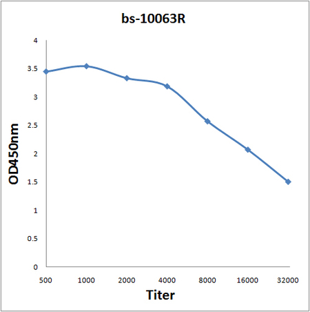 Antigen: bs-10063P, 0.2ug\/100ul \\nPrimary: Antiserum, 1:500, 1:1000, 1:2000, 1:4000, 1:8000, 1:16000, 1:32000; \\nSecondary: HRP conjugated Goat-Anti-Rabbit IgG(bs-0295G-HRP) at 1: 5000;\\nTMB staining;\\nRead the data in MicroplateReader by 450