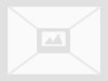 RalA Binding Protein 1 Recombinant Antbody Kit (KD-Validated)