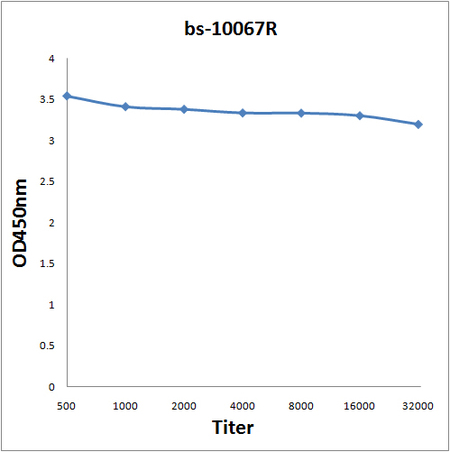 Antigen: bs-10067P, 0.2ug/100ul \nPrimary: Antiserum, 1:500, 1:1000, 1:2000, 1:4000, 1:8000, 1:16000, 1:32000; \nSecondary: HRP conjugated Goat-Anti-Rabbit IgG(bs-0295G-HRP) at 1: 5000;\nTMB staining;\nRead the data in MicroplateReader by 450