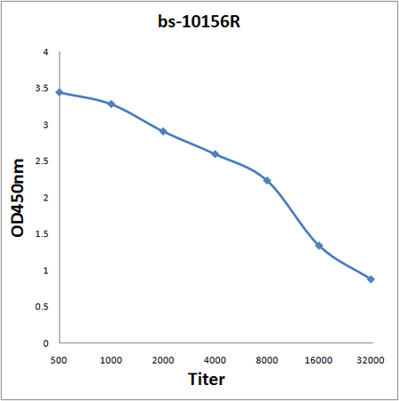 Antigen: bs-10156P, 0.2ug/100ul \nPrimary: Antiserum, 1:500, 1:1000, 1:2000, 1:4000, 1:8000, 1:16000, 1:32000; \nSecondary: HRP conjugated Goat-Anti-Rabbit IgG(bs-0295G-HRP) at 1: 5000;\nTMB staining;\nRead the data in MicroplateReader by 450