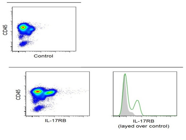 Image kindly submitted by Dr. Kang Chen from Wayne University via the Bioss Discovery Program.\n\nPositive staining with Human Peripheral Mononuclear Cells using Rabbit Anti-IL-17RB Polyclonal Antibody, ALEXA FLUOR 488 Conjugated (bs-2610R-A488)