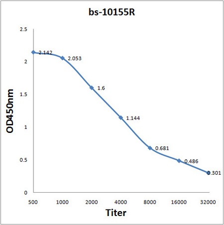 Antigen: bs-10155P, 0.2ug/100ul \nPrimary: Antiserum, 1:500, 1:1000, 1:2000, 1:4000, 1:8000, 1:16000, 1:32000; \nSecondary: HRP conjugated Goat Anti-Rabbit IgG (bs-0295G-HRP) at 1: 5000; \nTMB staining; Read the data in MicroplateReader by 450nm. Antigen: bs-10155P, 0.2ug/100ul \nPrimary: Antiserum, 1:500, 1:1000, 1:2000, 1:4000, 1:8000, 1:16000, 1:32000; \nSecondary: HRP conjugated Goat Anti-Rabbit IgG (bs-0295G-HRP) at 1: 5000; \nTMB staining; Read the data in MicroplateReader by 450nm.