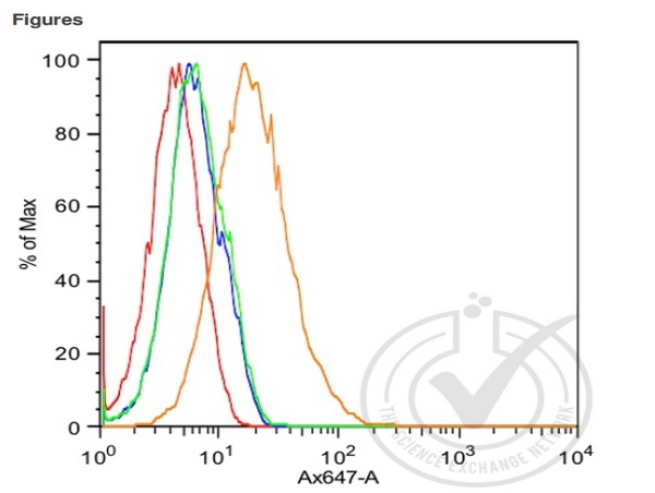 Histogram of 786-O cells stained with Rabbit Anti-K-Cadherin (orange)(bs-5823R at 1:100), isotype control antibody (green), secondary antibody only (blue) and unstained (red).