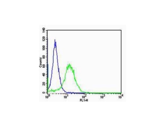 NIH\/3T3 cells probed with Rabbit Anti-RAGE Polyclonal Antibody (bs-0177R) at 1:100 for 60 minutes at room temperature followed by Goat Anti-Rabbit IgG (H+L) Alexa Fluor 488 Conjugated Secondary Antibody.\\n