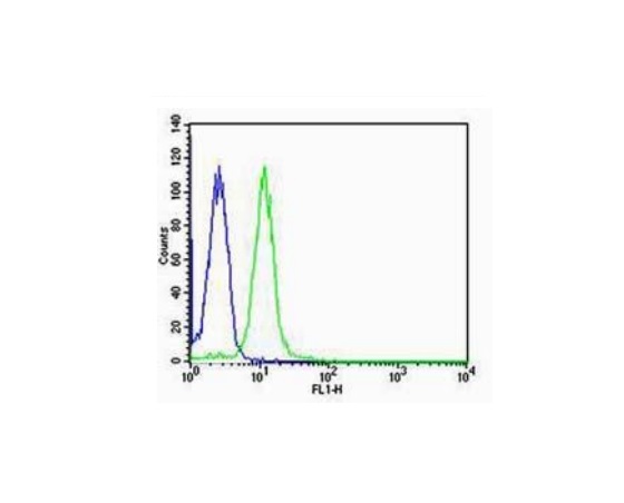 HT-29 cells probed with Rabbit Anti-TFF3 Polyclonal Antibody (bs-0535R) at 1:100 for 60 minutes at room temperature followed by Goat Anti-Rabbit IgG (H+L) Alexa Fluor 488 Conjugated Secondary Antibody.