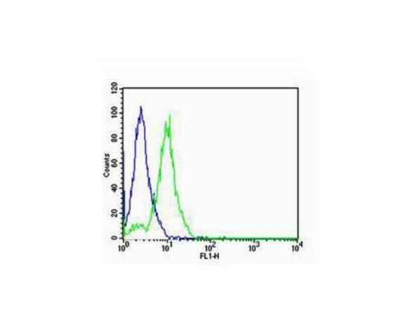 F9 cells probed with Rabbit Anti-SP-C Polyclonal Antibody (bs-10067R) at 1:100 for 60 minutes at room temperature followed by Goat Anti-Rabbit IgG (H+L) Alexa Fluor 488 Conjugated Secondary Antibody.