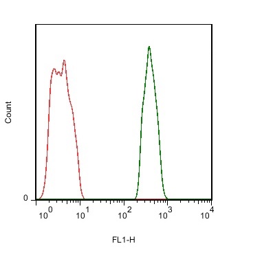Mouse brain cells probed with Rabbit Anti-PTP zeta Polyclonal Antibody, FITC Conjugated (bs-11327R-FITC) (green) at 1:50 for 40 minutes compared to control cells (red).