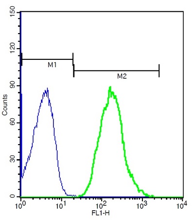 Mouse splenocytes probed with Rabbit Anti-CX3CR1 Polyclonal Antibody, FITC Conjugated (bs-1728R-FITC) (green) at 1:100 for 40 minutes compared to control cells (blue).\n