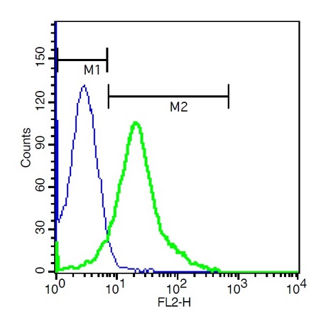 RSC96 cells probed with Rabbit Anti-ADORA2B Polyclonal Antibody, PE Conjugated (bs-10791R-PE) at 1:30 for 40 minutes (green)compared to control cells (blue).