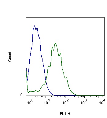 Mouse liver cells probed with Rabbit Anti-FLRT3 Polyclonal Antibody (bs-12363R) at 1:100 for 60 minutes followed by incubation with Goat Anti-Rabbit IgG FITC conjugated secondary (bs-0295G-FITC) at 1:100 (green) for 40 minutes compared to control cells (blue)