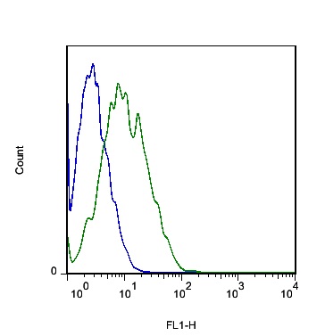 Mouse cells probed with Rabbit Anti-MOT8/SLC16A2 Polyclonal Antibody (bs-11434R) at 1:100 for 60 minutes followed by incubation with Goat Anti-Rabbit IgG FITC conjugated secondary (bs-0295G-FITC) at 1:100 (green) for 40 minutes compared to control cells (blue).