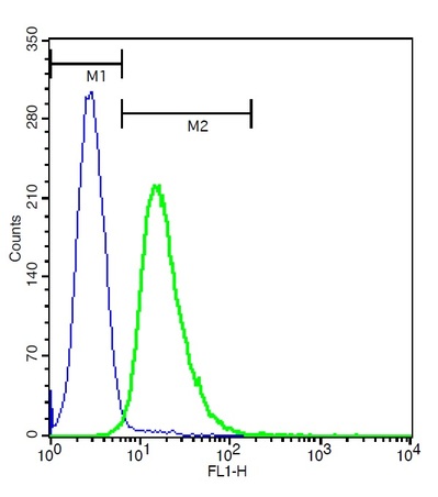 U937 cells probed with Rabbit Anti-CLEC5A Polyclonal Antibody, FITC Conjugated (bs-2663R-FITC) at 1:50 for 40 minutes (green)compared to control cells (blue).