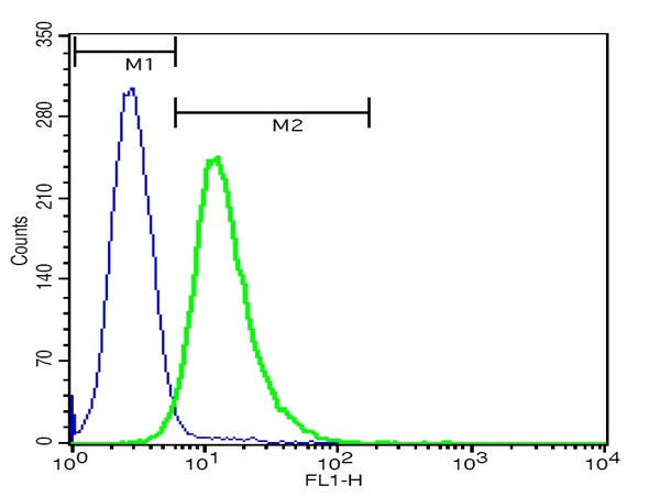U937 cells probed with Rabbit Anti-TREM2 Polyclonal Antibody, FITC Conjugated (bs-2723R-FITC) at 1:100 for 40 minutes (green) compared to control cells (blue).