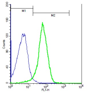 Mouse splenocytes probed with Rabbit Anti-IL-27RA Polyclonal Antibody, Unconjugated (bs-2711R) (green) at 1:100 for 40 minutes followed by a FITC conjugated secondary compared to control cells (blue).