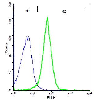 Mouse probed with Rabbit Anti-TRPM2 Polyclonal Antibody, Unconjugated (bs-2888R) (green) at 1:100 for 40 minutes followed by a FITC conjugated secondary compared to control cells (blue).