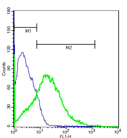 Mouse brain cells probed with Rabbit Anti-MMP-16 Polyclonal Antibody (bs-1856R) at 1:50 for 40 minutes followed by incubation with Goat Anti-Rabbit IgG FITC conjugated secondary (bs-0295G-FITC) at 1:100 (green) for 40 minutes compared to control cells (blue)