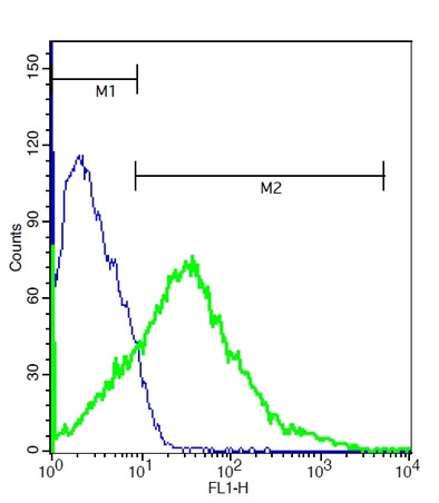 Mouse brain cells probed with Rabbit Anti-Bdkrb2 Polyclonal Antibody (bs-2422R) at 1:50 for 40 minutes followed by incubation with Goat Anti-Rabbit IgG FITC conjugated secondary (bs-0295G-FITC) at 1:100 (green) for 40 minutes compared to control cells (blue).