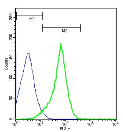 Mouse splenocytes probed with Rabbit Anti-E cadherin Polyclonal Antibody, PE-Cy5.5 Conjugated (bs-10009R-PE-Cy5.5) at 1:50 for 40 minutes (green)compared to control cells (blue).