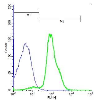 Mouse thymocytes probed with Rabbit Anti-Frizzled 6 Polyclonal Antibody, Unconjugated (bs-13218R) (green) at 1:100 for 40 minutes followed by a FITC conjugated secondary compared to control cells (blue).