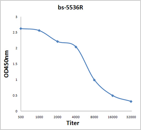 Antigen: bs-5536P, 0.2ug/100ul \nPrimary: Antiserum, 1:500, 1:1000, 1:2000, 1:4000, 1:8000, 1:16000, 1:32000; \nSecondary: HRP conjugated Goat-Anti-Rabbit IgG(bs-0295G-HRP) at 1: 5000;\nTMB staining;\nRead the data in MicroplateReader by 450