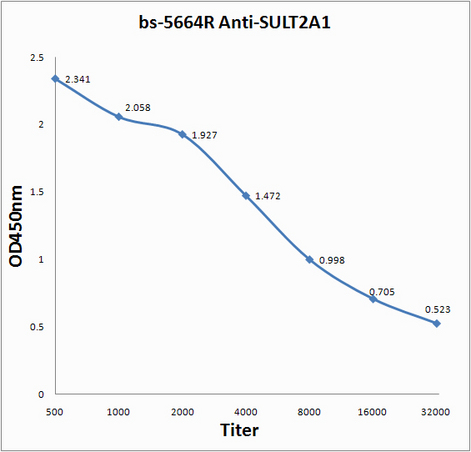 Antigen: bs-5664P, 0.2ug/100ul \nPrimary: Antiserum, 1:500, 1:1000, 1:2000, 1:4000, 1:8000, 1:16000, 1:32000; \nSecondary: HRP conjugated Goat-Anti-Rabbit IgG(bs-0295G-HRP) at 1: 5000;\nTMB staining;\nRead the data in MicroplateReader by 450