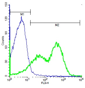 Mouse splenocytes probed with Rabbit Anti-SSTR1/Somatostatin Receptor 1 Polyclonal Antibody, PE-Cy5 Conjugated (bs-1137R-PE-Cy5) (green) at 1:50 for 40 minutes compared to control cells (blue).